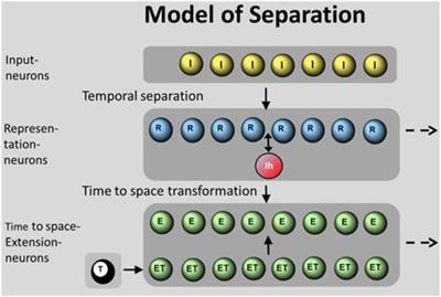 A Model of Pattern Separation by Single Neurons